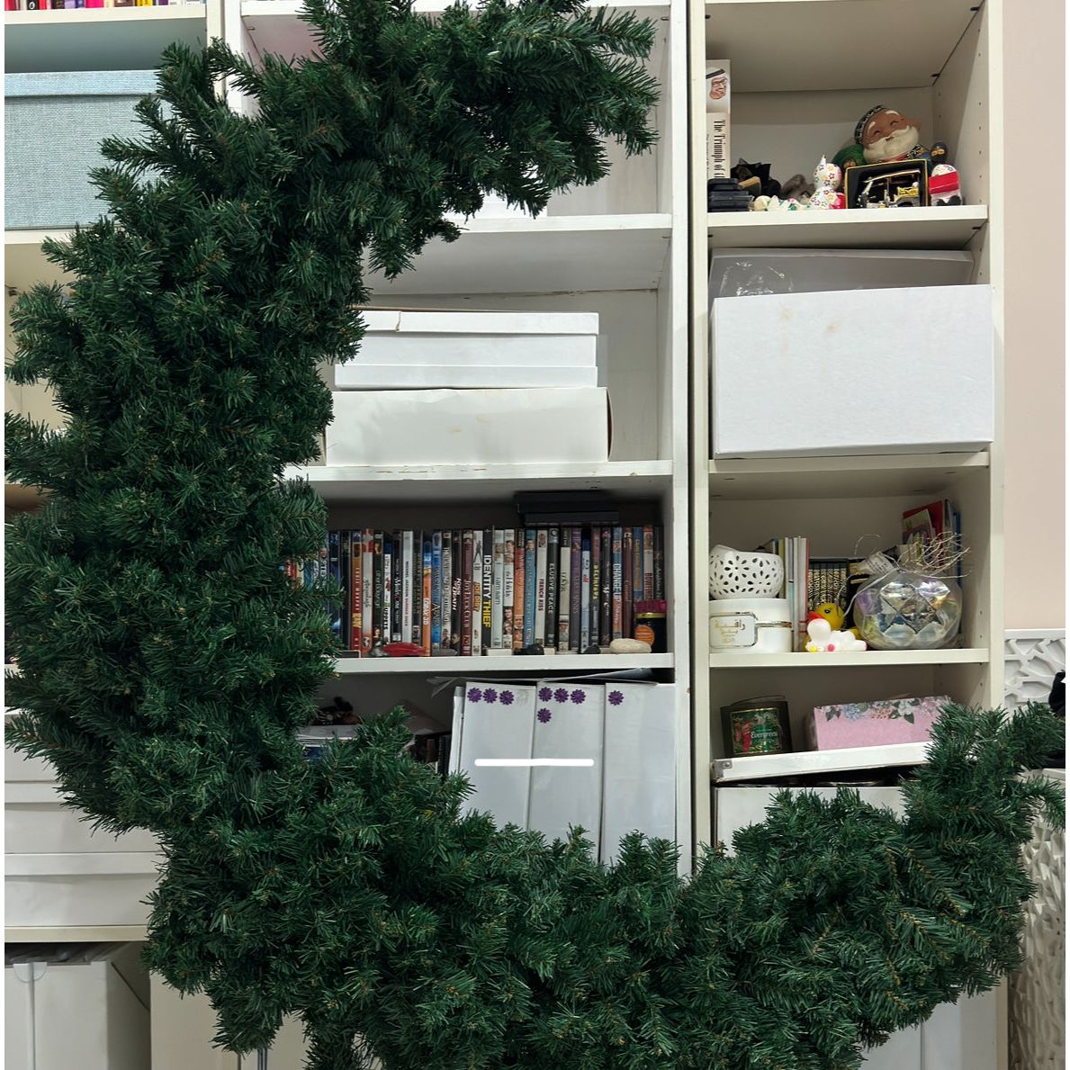 Green Crescent Tree