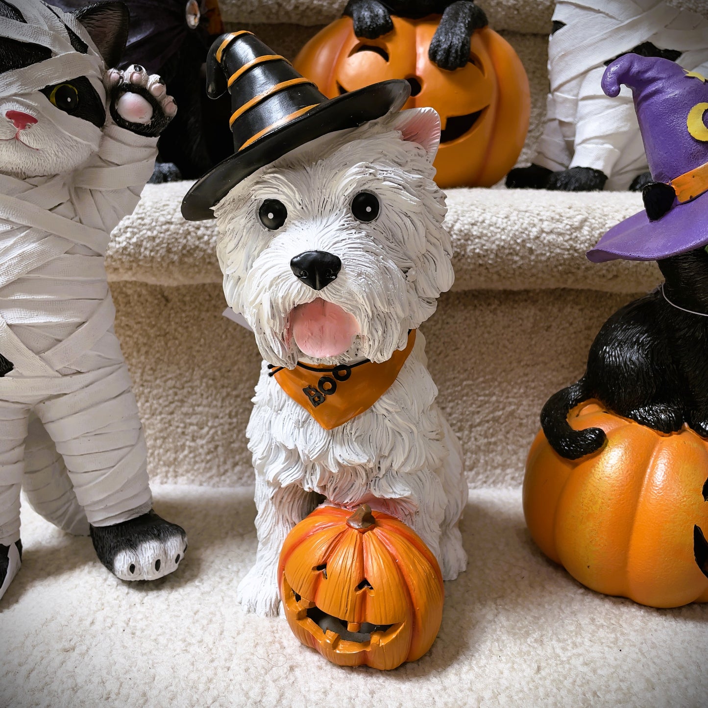 Halloween Dog with Pumpkin