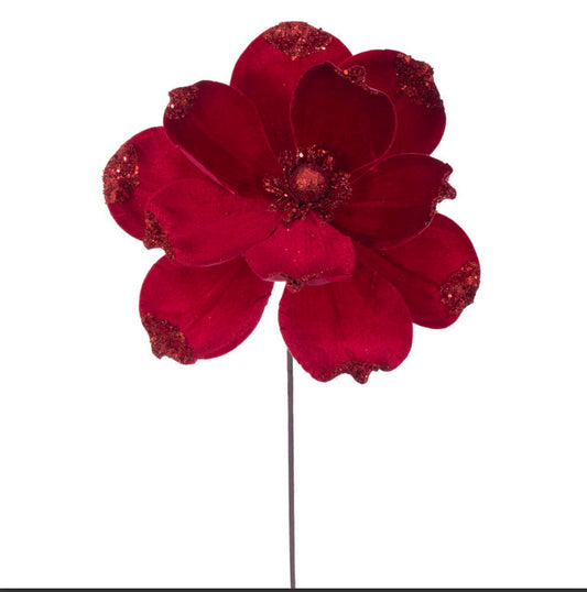 Red Velvet Magnolia