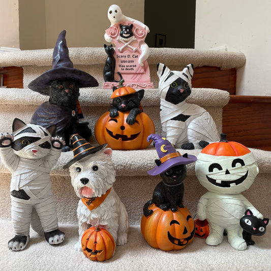 Cat coming out of Pumkin