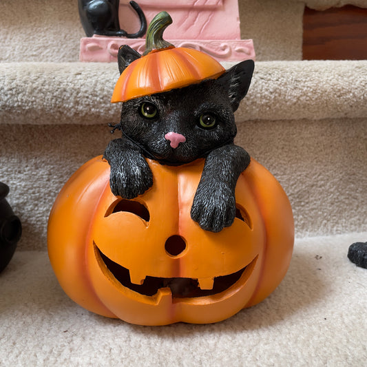 Cat coming out of Pumkin