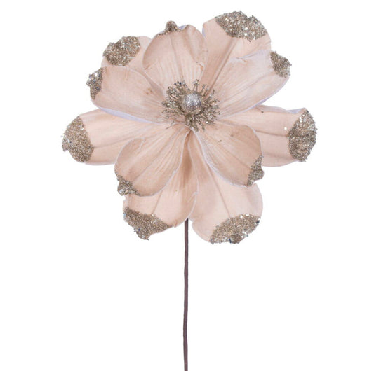 Champagne Velvet Magnolia
