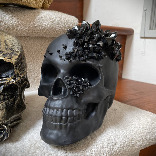 Black Skull with Crystal Shards